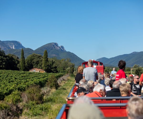 024730lvdtr-reportage2019-stpaulcaudies-04