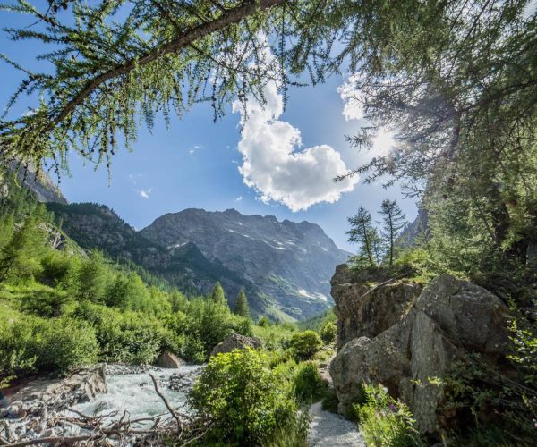 1529063272-113146782