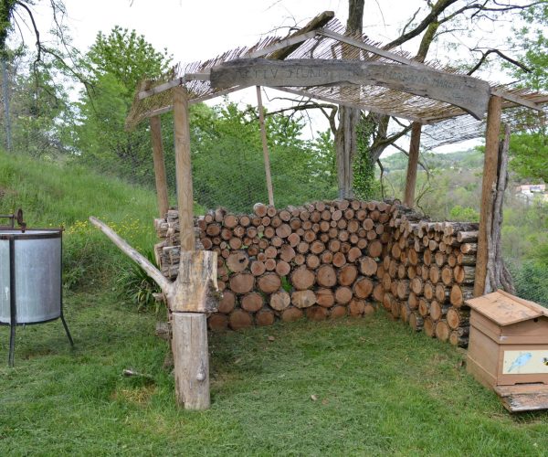 181788291_1202887093479846_5416191892616690860_n