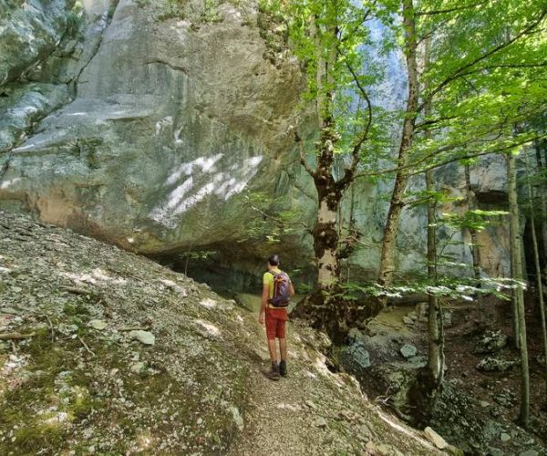 20220722_101802__rfhlvw