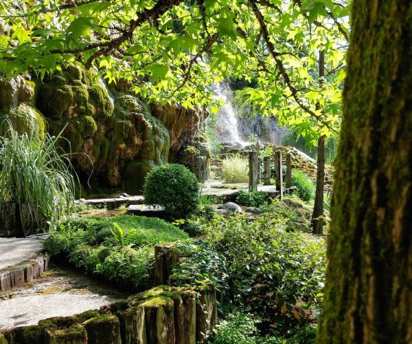 347258420_650040237163325_7420511725319065020_n