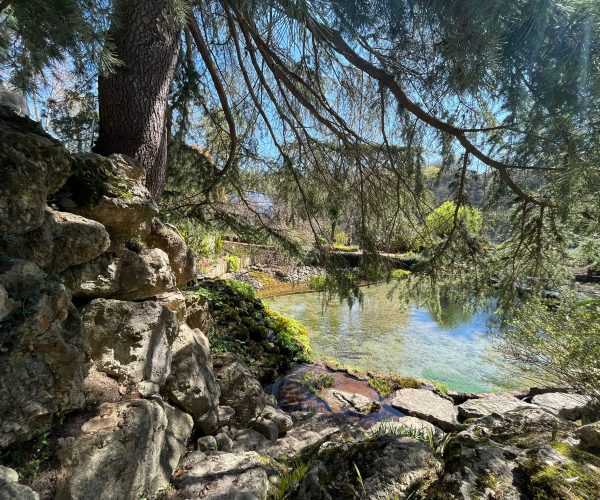 347552924_650040013830014_439608727774197267_n