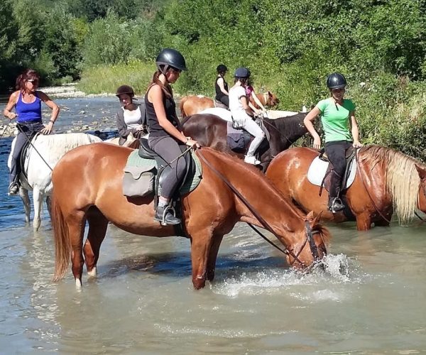 90b1f0107990425644466a04bd5d6b25-1938023-1366x768