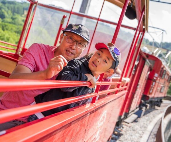 Premier train électrifié au monde en 1903, l’emblématique Train rouge de la Mure qui servait autrefois au transport du charbon vers Grenoble reprend du service. Il peut transporter 200 passagers et permet d'admirer la Matheysine, la vallée du Drac, le lac du Monteynard et le Vercors. Les premiers passagers ont pu monter dans les wagons rouges vifs le 21 juillet dernier. Parmi eux Xing, un Isérois venu ici avec son fils Chen, 8 ans, passionné par les trains.