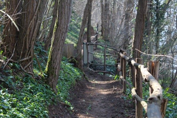 IMG_1419-e1459241451759