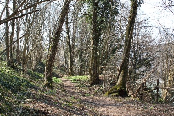 IMG_1428-e1459243010546