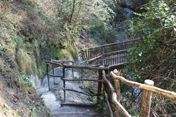 IMG_1432-e1459243035178