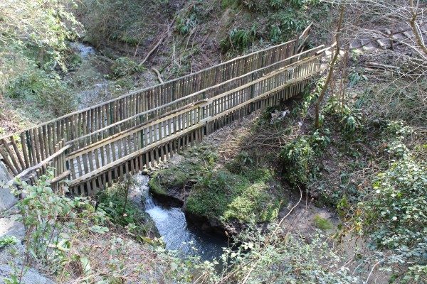 IMG_1433-e1459243059268