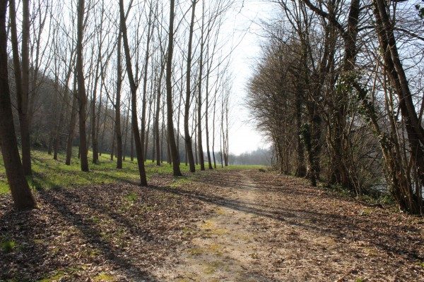 IMG_1464-e1459433929776