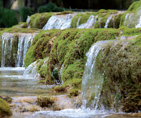 b0744d_da52cfde4d4d4663bd8072ce7dc5f2c3~mv2