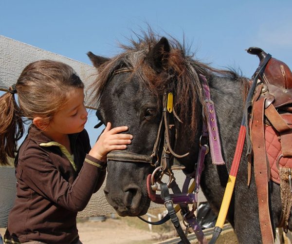 colonie-de-vacances-passion-poneys-ete-30-min_800x600