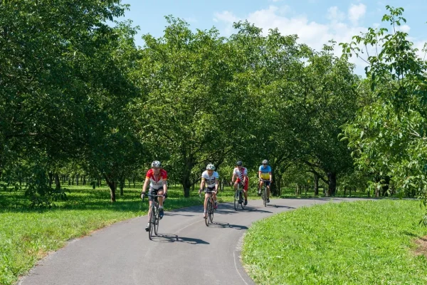 cyclo-sur-la-v63-fpattou_1224x816