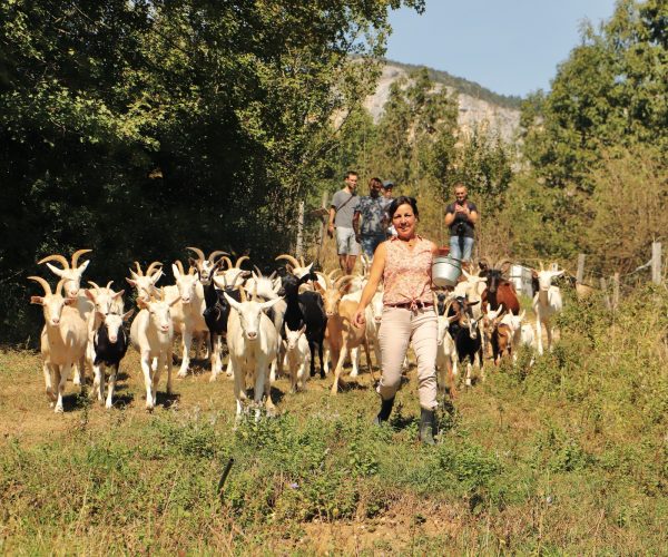 ferme-du-clos-adelinev38-par-inspiration-vercors_14951369