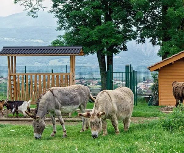 flaner-a-saint-marcellin-6