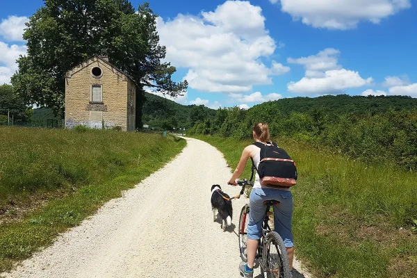 gare-chien-voie-verte