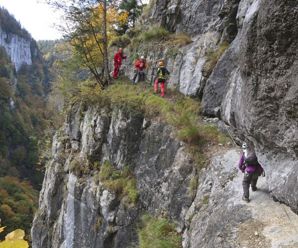 image_2649654_20210101_ob_7c5cf2_img-1685