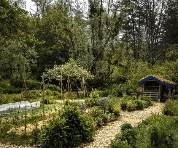 instameet-tas2caillouxdsc05006