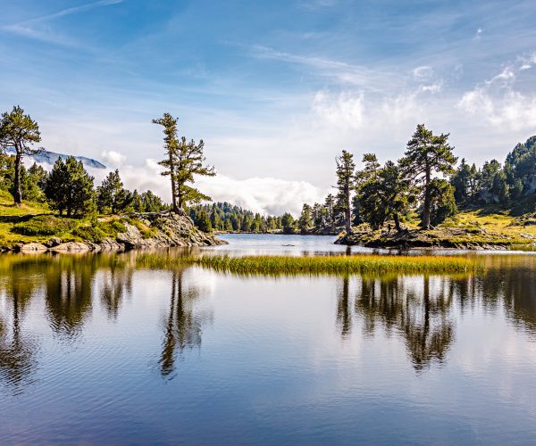 lac-achard-randonnee-grenoble-wild-birds-collective-2