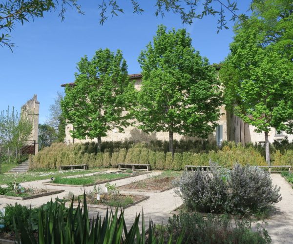 le-jardin-medieval-du-couvent-des-carmes-est-au-coeur-de-plusieurs-animations-proposees-par-le-lieu-1650465795