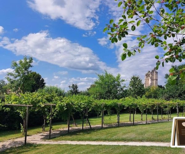 r7f1-exterior-Site-Medieval-du-couvent-des-Carmes-2022-10-6