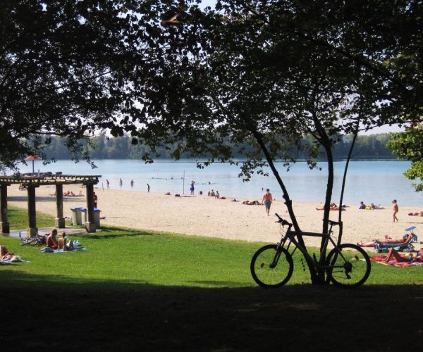 strasbourgmalaga.com_