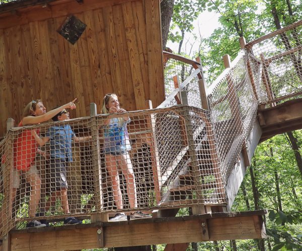 thumb_1679_story.mobile_mobile