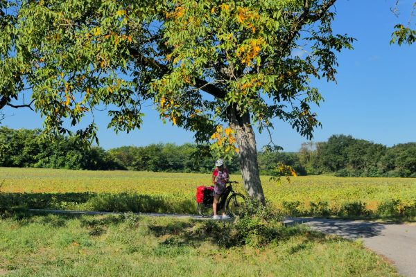valle-de-lisere-4-carolegoelitz